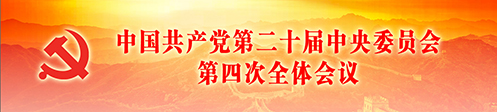 banner_esjszqh20251020.jpg